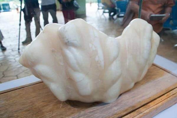见过世界最大珍珠吗?菲律宾渔夫发现最大珍珠,却在床下放10年